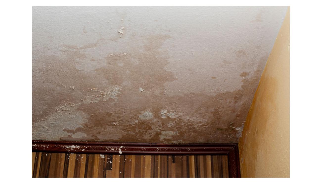 Damp A damp ceiling