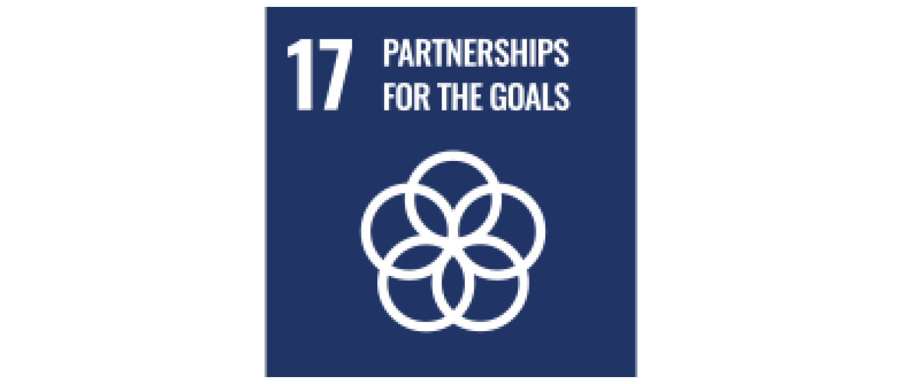 United Nations Sustainable Development partnerships icon United Nations Sustainable Development partnerships icon